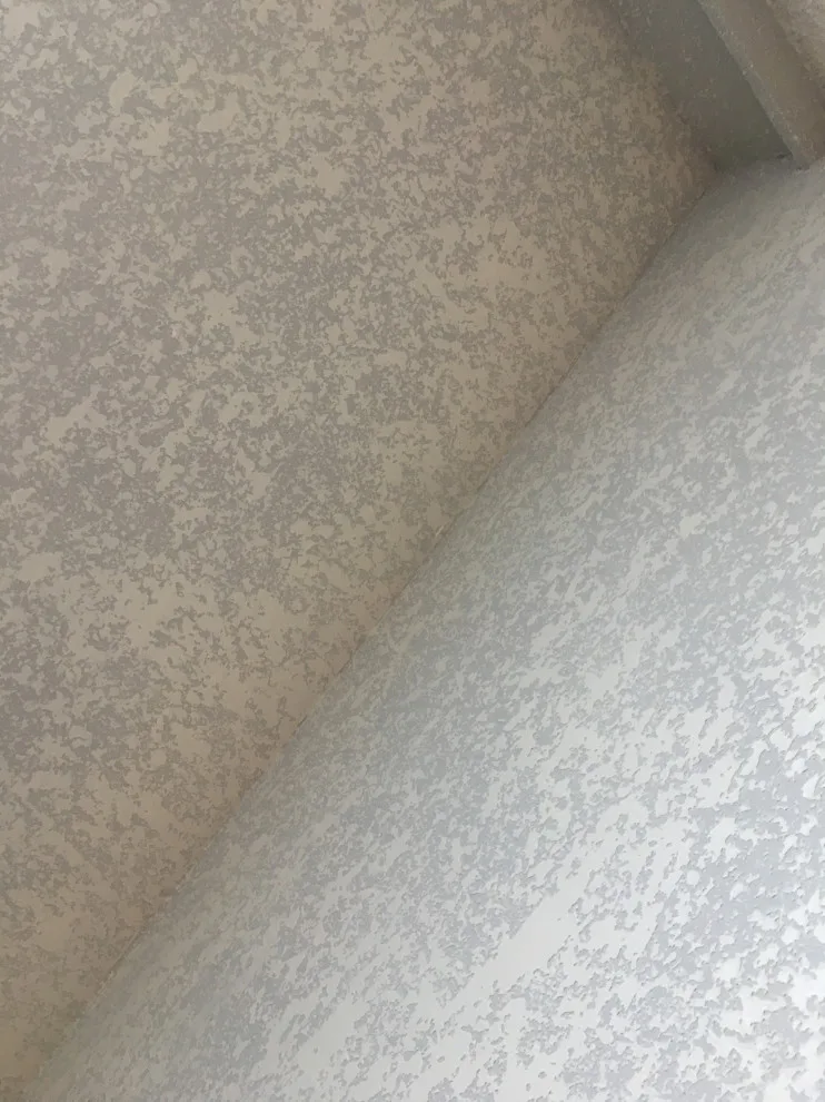 Ceilings and Textures by Florida Superior Painting, LLC - Photo 6