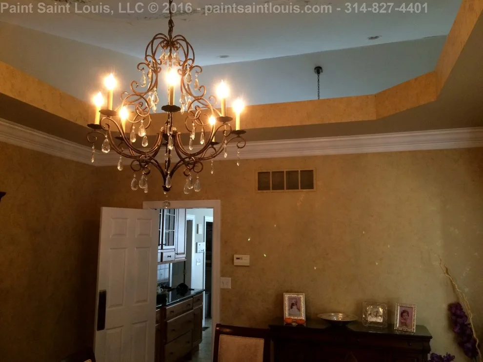 Chesterfield 2016 by Paint Saint Louis, LLC - Photo 69