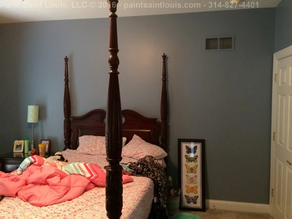 Chesterfield 2016 by Paint Saint Louis, LLC - Photo 43