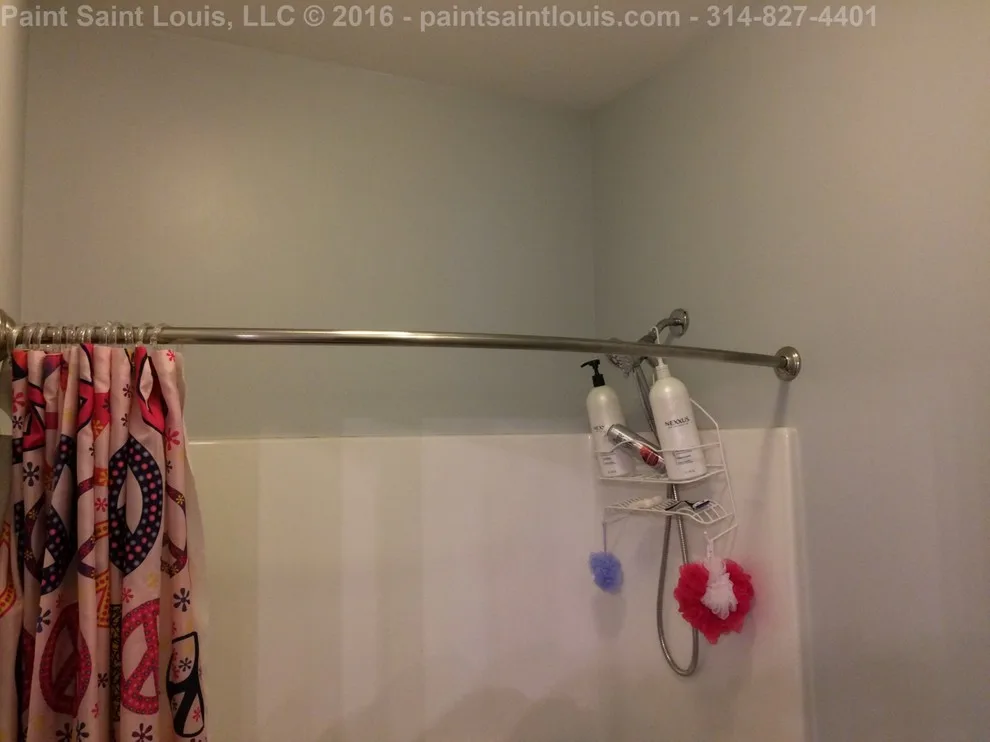Chesterfield 2016 by Paint Saint Louis, LLC - Photo 12