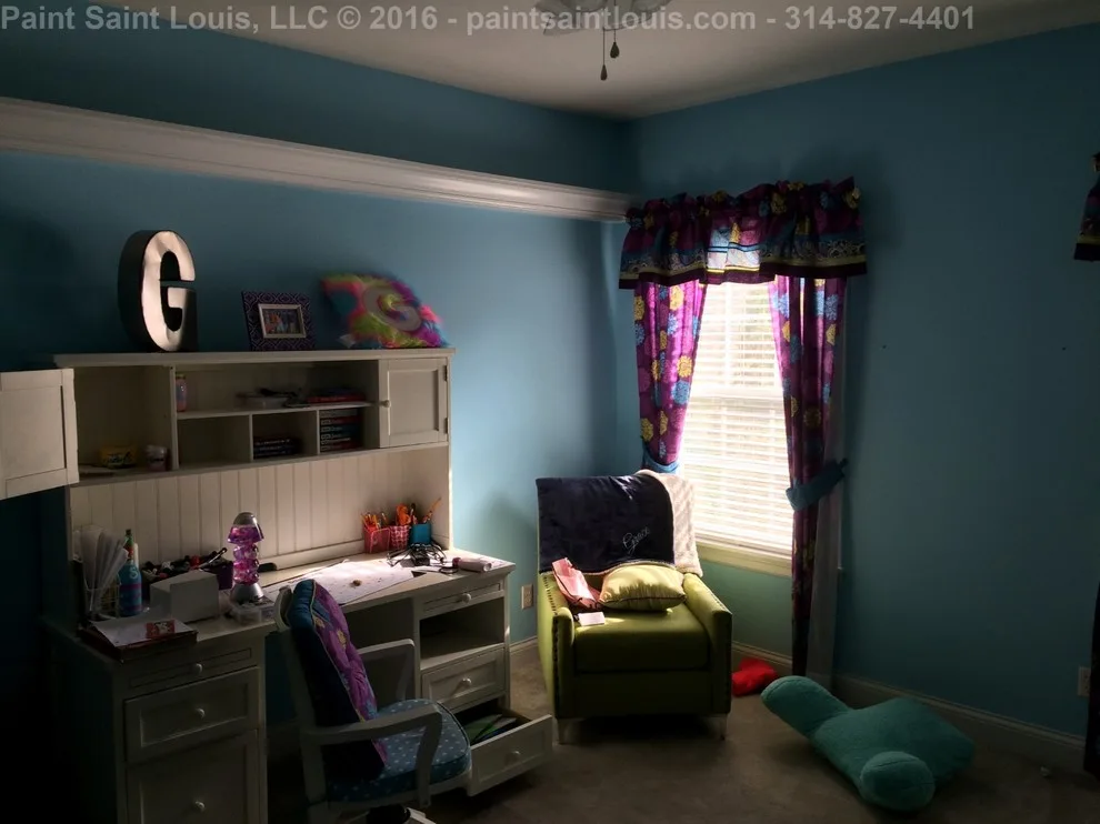 Paint Saint Louis, LLC - Photo 6