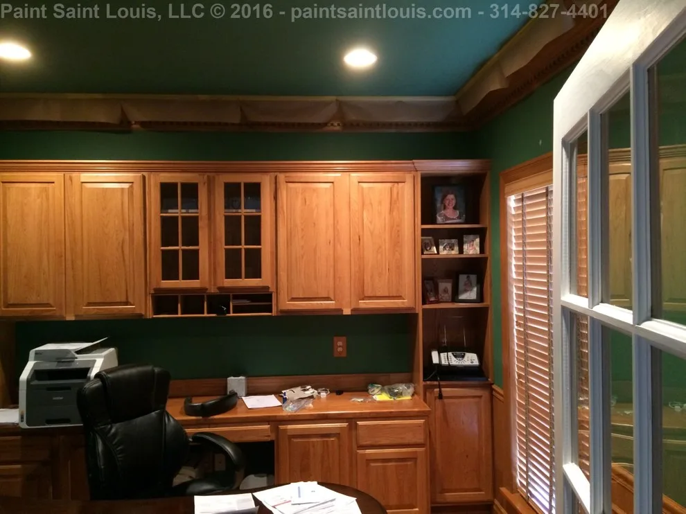 Chesterfield 2016 by Paint Saint Louis, LLC - Photo 46