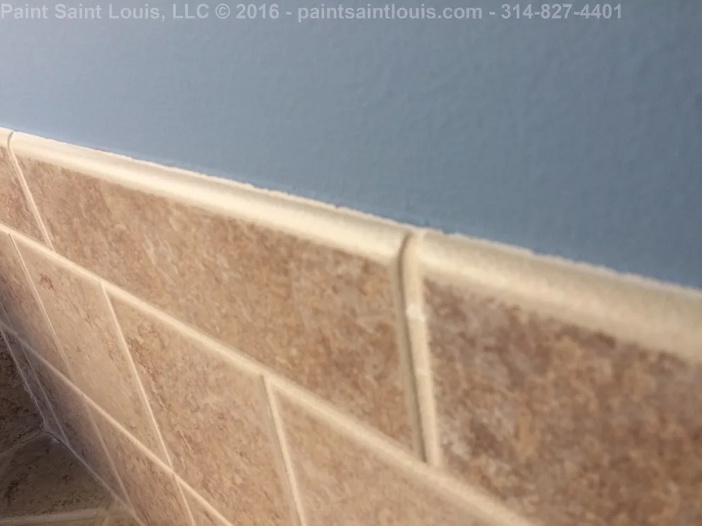 Chesterfield 2016 by Paint Saint Louis, LLC - Photo 73