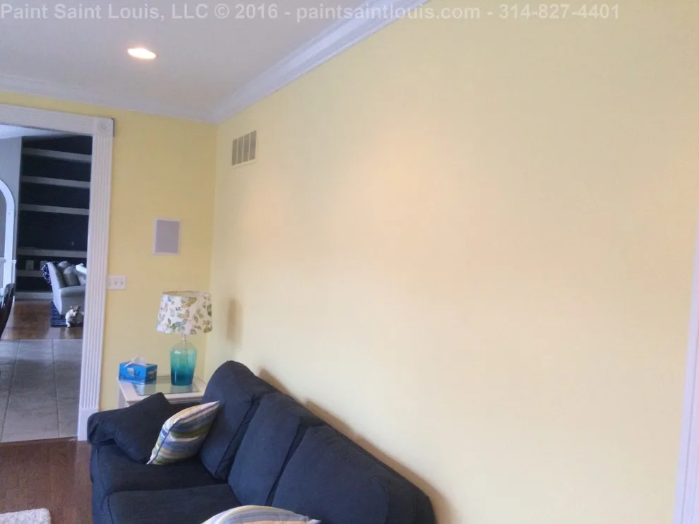 Chesterfield 2016 by Paint Saint Louis, LLC - Photo 81