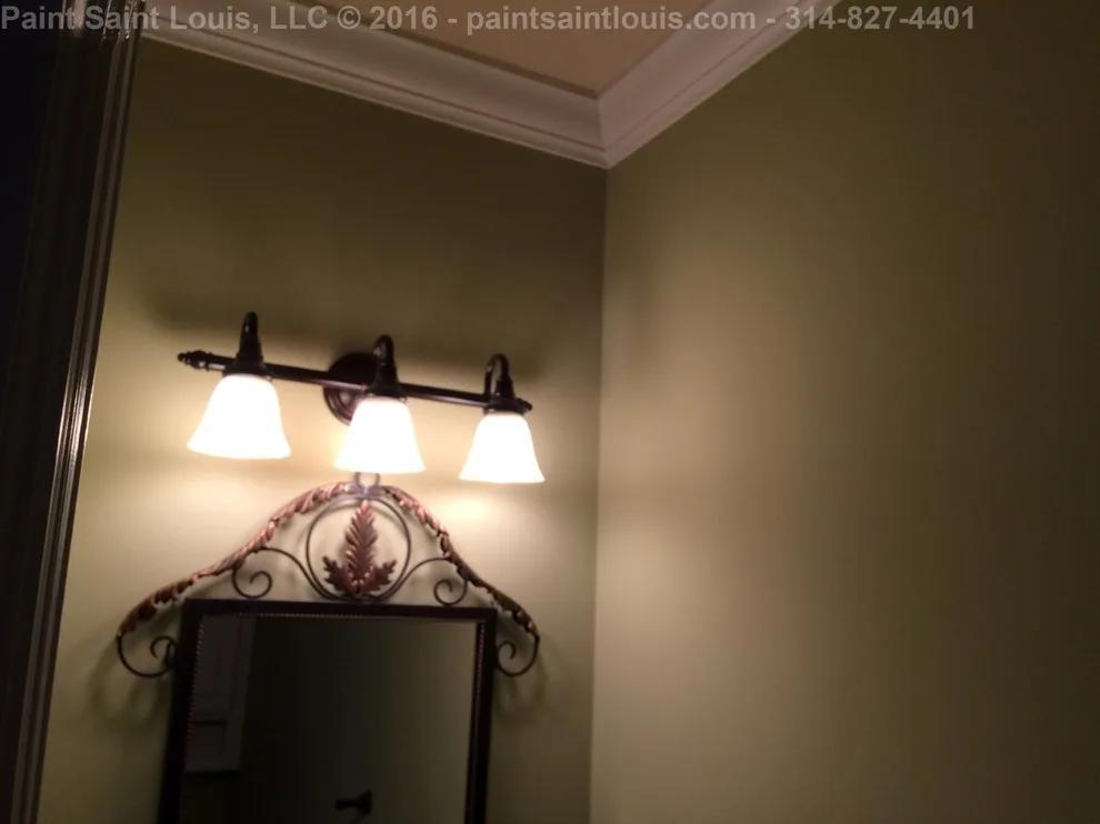 Paint Saint Louis, LLC - Photo 14