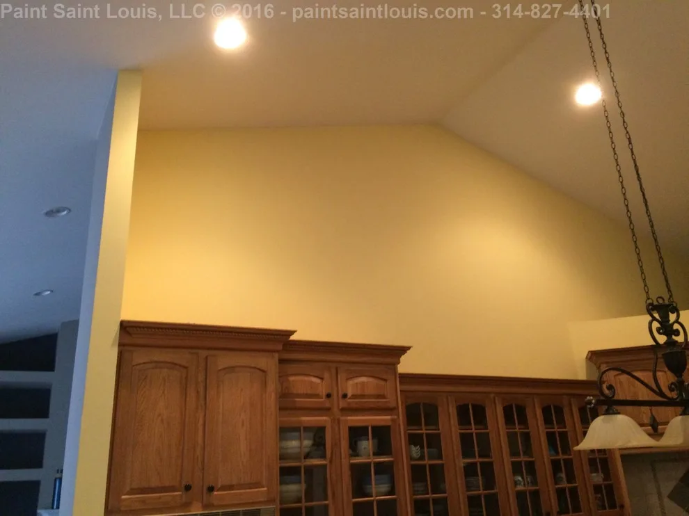 Chesterfield 2016 by Paint Saint Louis, LLC - Photo 77