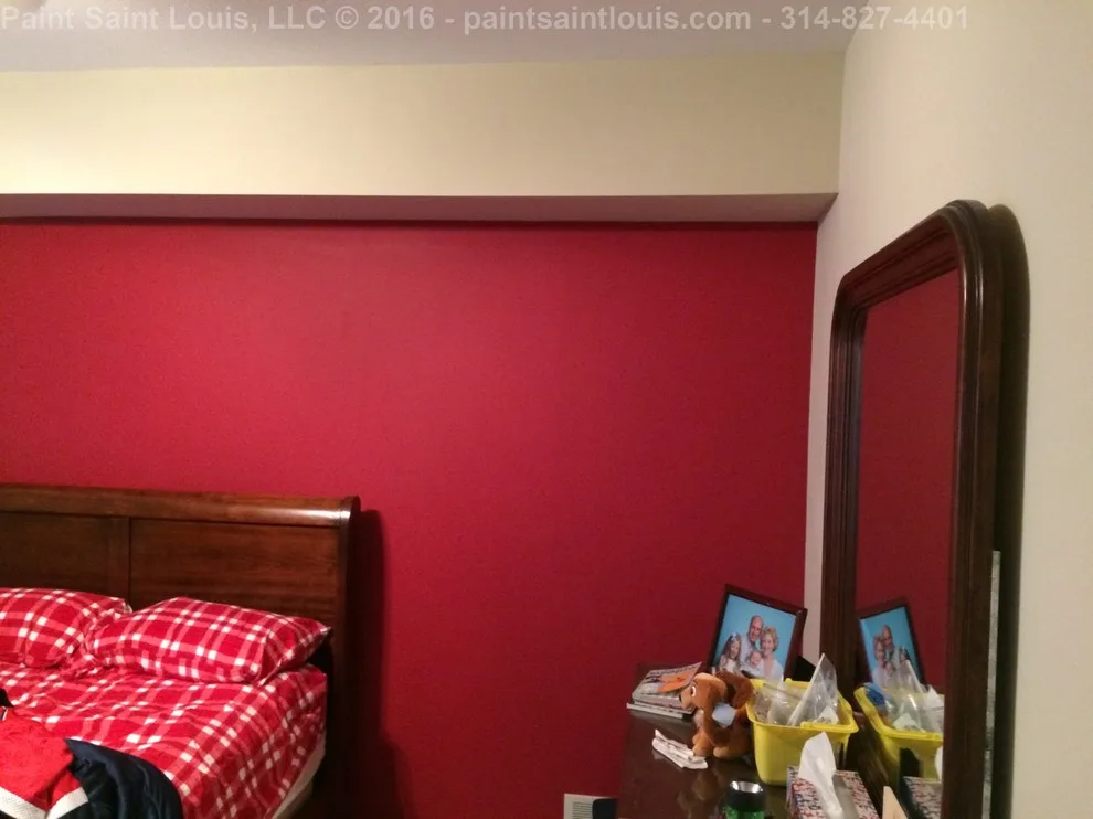 Chesterfield 2016 by Paint Saint Louis, LLC - Photo 13