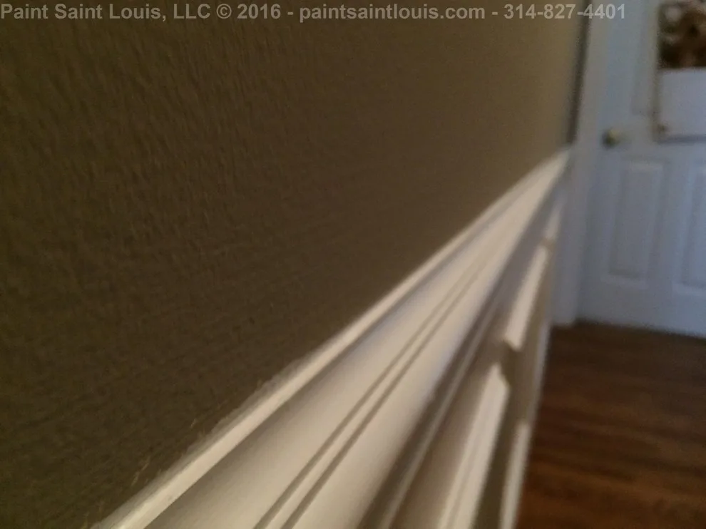 Chesterfield 2016 by Paint Saint Louis, LLC - Photo 25