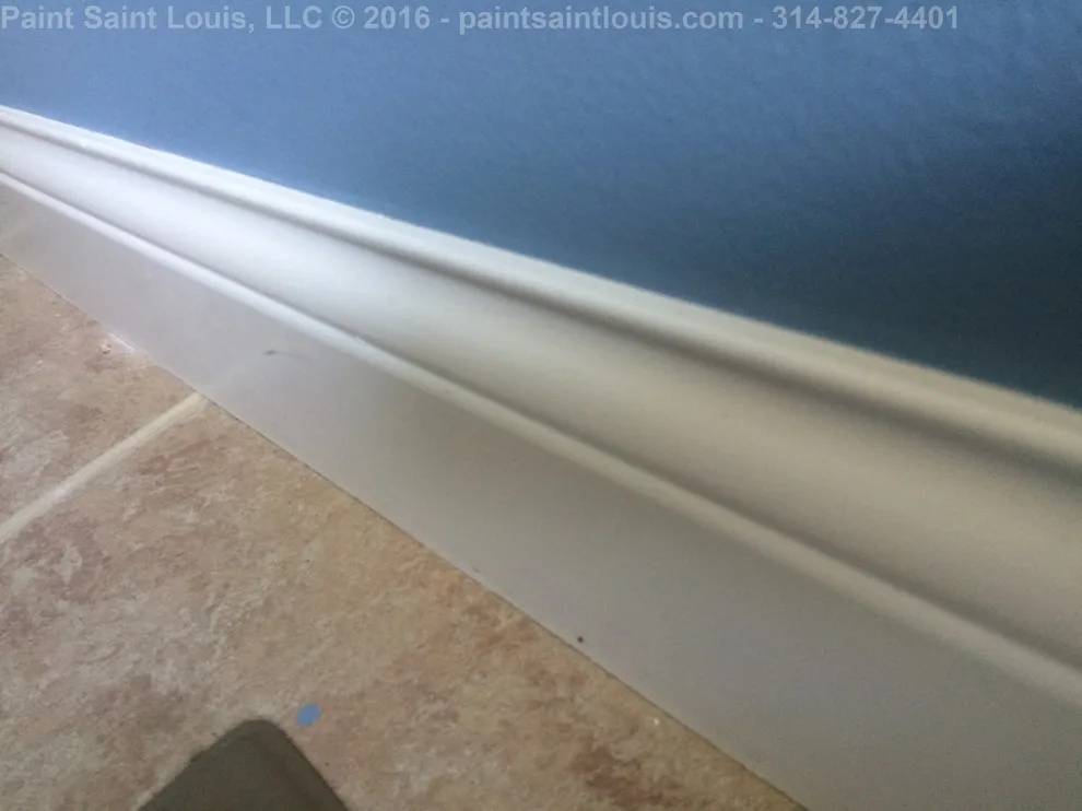 Chesterfield 2016 by Paint Saint Louis, LLC - Photo 21