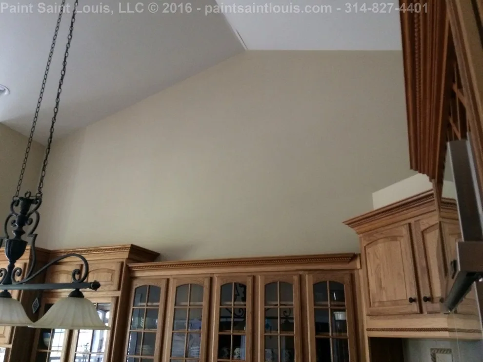 Chesterfield 2016 by Paint Saint Louis, LLC - Photo 53