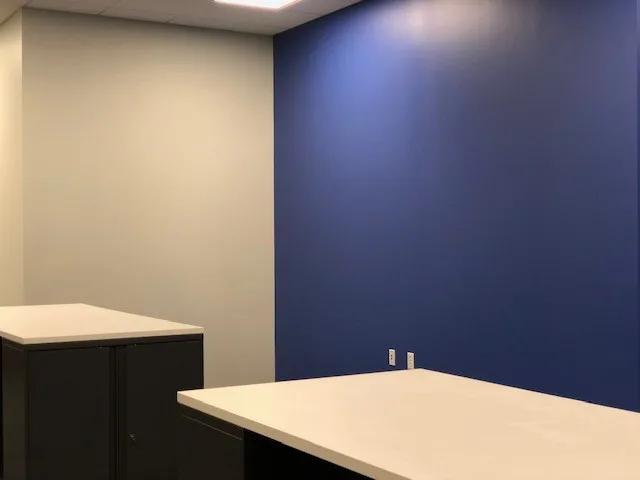 Business Initiative #1 by DPI Quality Custom Finishes - Photo 11
