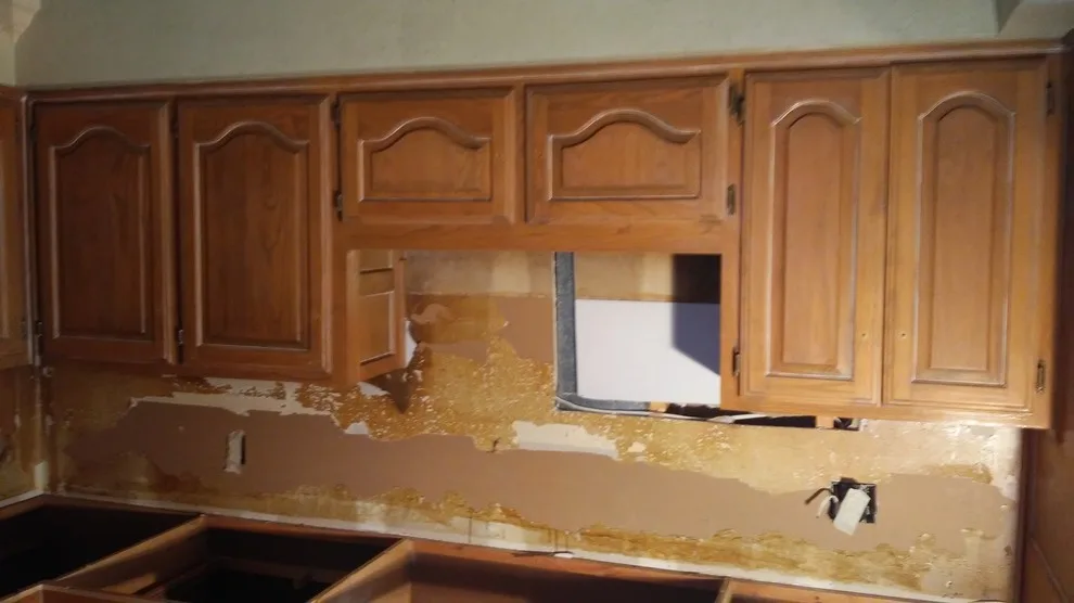 Pine Tree Kitchen Painting Project by Paint Plus - Photo 9