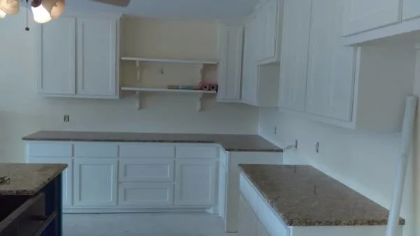 Whole Kitchen Painting Project by Paint Plus - Photo 10