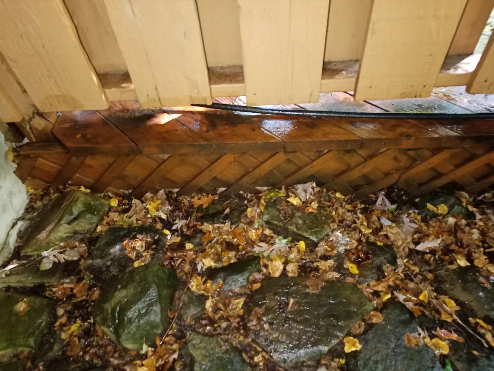 Deck Cleaned, Stained, and Sealed by Magical Maintenance Services - Photo 5