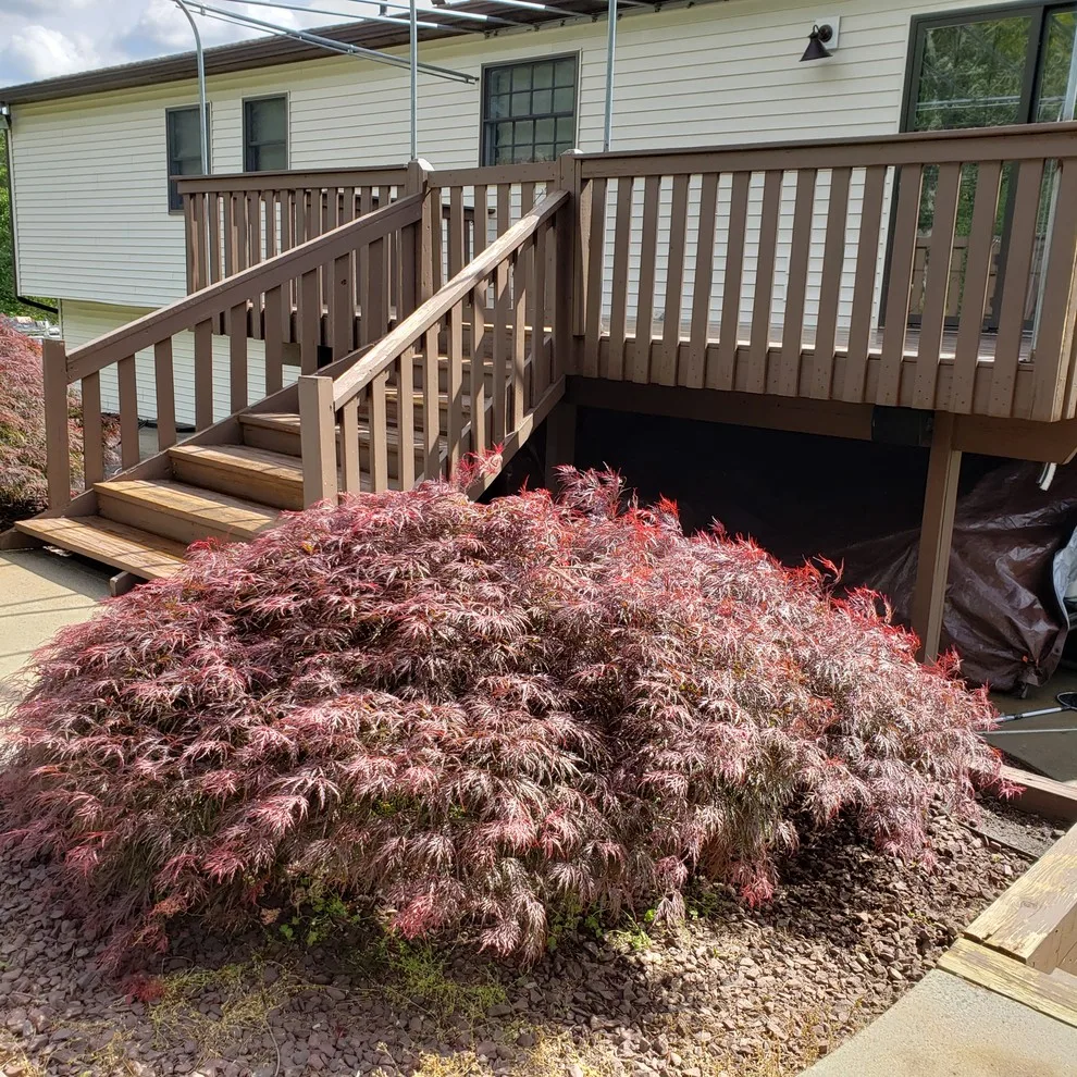 Deck Power Washing Solutions by JLL Painting & Home Improvements, Inc. - Photo 28