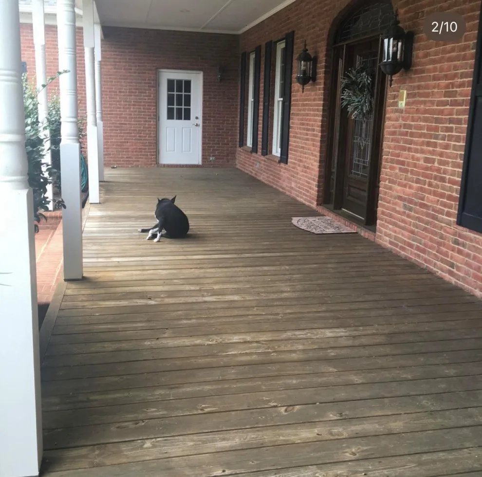 Deck Coating by Paint Trinity - Photo 2