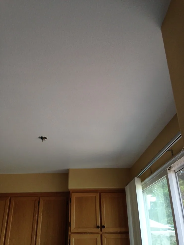 Premier Painters Inc. - Photo 5