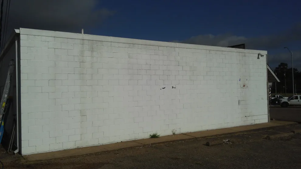 Exterior Block Preparation and Painting by Paint Plus - Photo 7