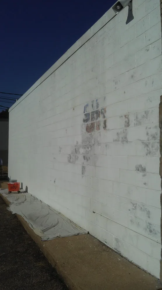 Paint Plus - Photo 14