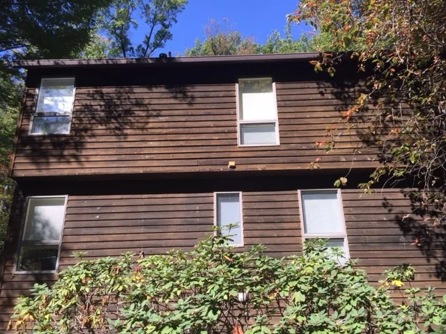 Cedar siding exterior re-staining in Reston, VA by Hömm Certified Painting Systems - Photo 8