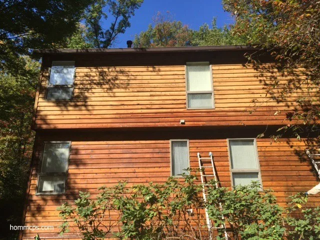Cedar siding exterior re-staining in Reston, VA by Hömm Certified Painting Systems - Photo 5