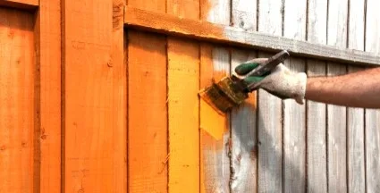 Fresh Coat Of Aurora - Photo 4
