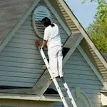 Fresh Coat Of Aurora - Photo 5