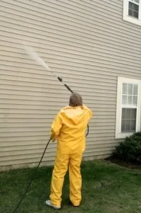 Fresh Coat Of Aurora - Photo 10