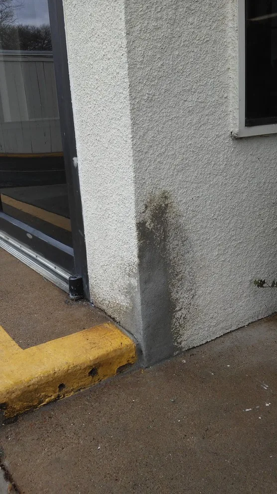Stucco Exterior Painting by Paint Plus - Photo 7