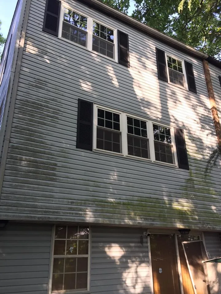 Exterior Transformation | Before & After by Sheldon And Sons Painting - Photo 2