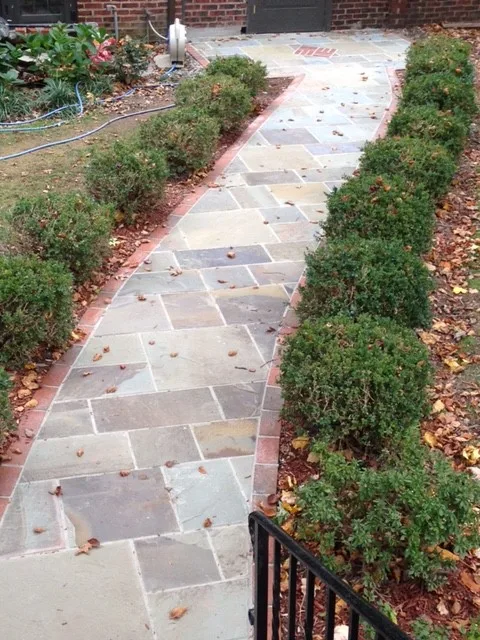 Outdoor Projects by Precision Painting Plus - Photo 7