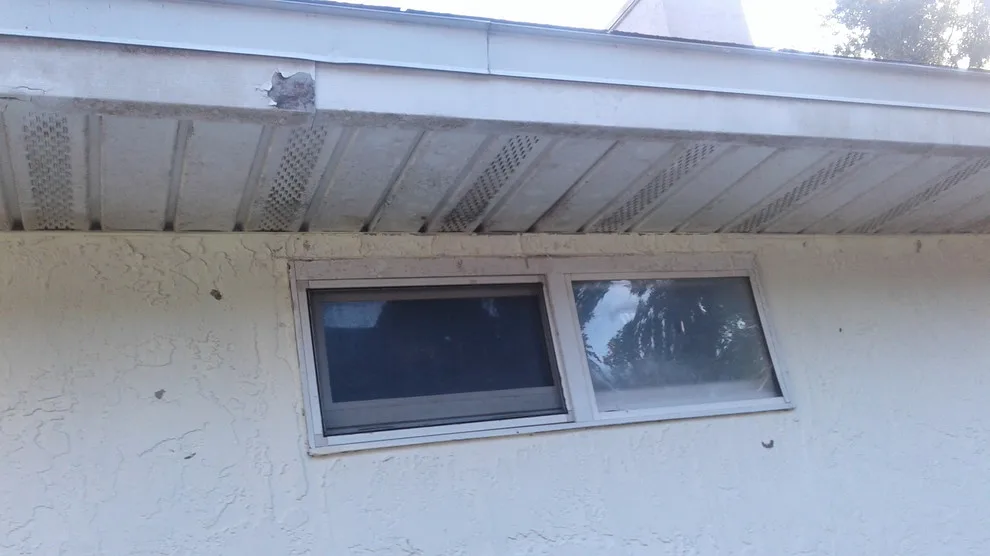 Outdoor Makeover (Before & After) by Ocean Wave Painting - Photo 10