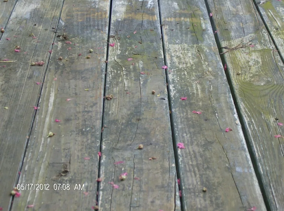 Outdoor Surfaces and Structures by Color My World Painting LLC - Photo 10