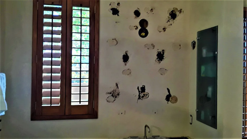 Simulated Finish and Plaster Restoration by Busby Finishes - Photo 3