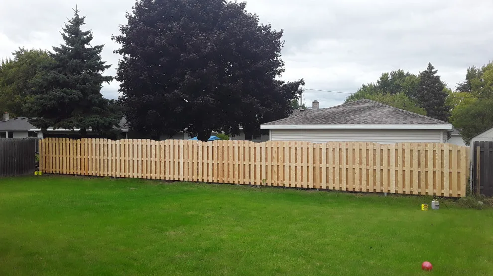 Deck and Fence Staining by 1st Class Painting - Photo 6