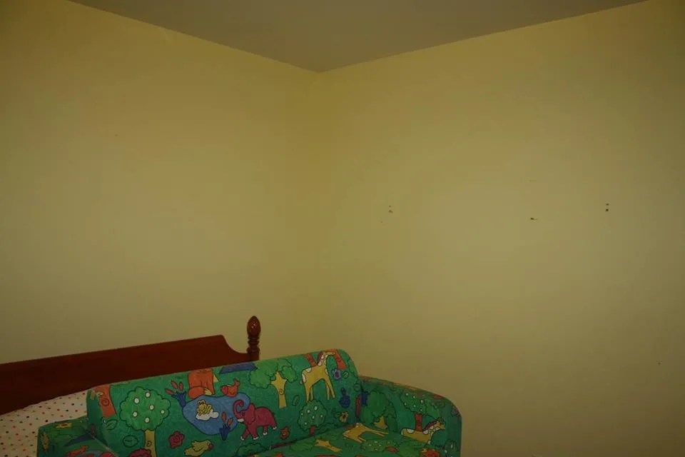 Girls' Rooms by S & S Painting - Photo 3