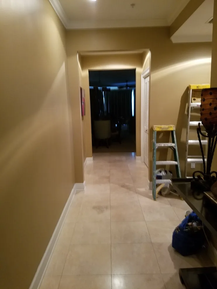 Steven's Premier Painting - Photo 9