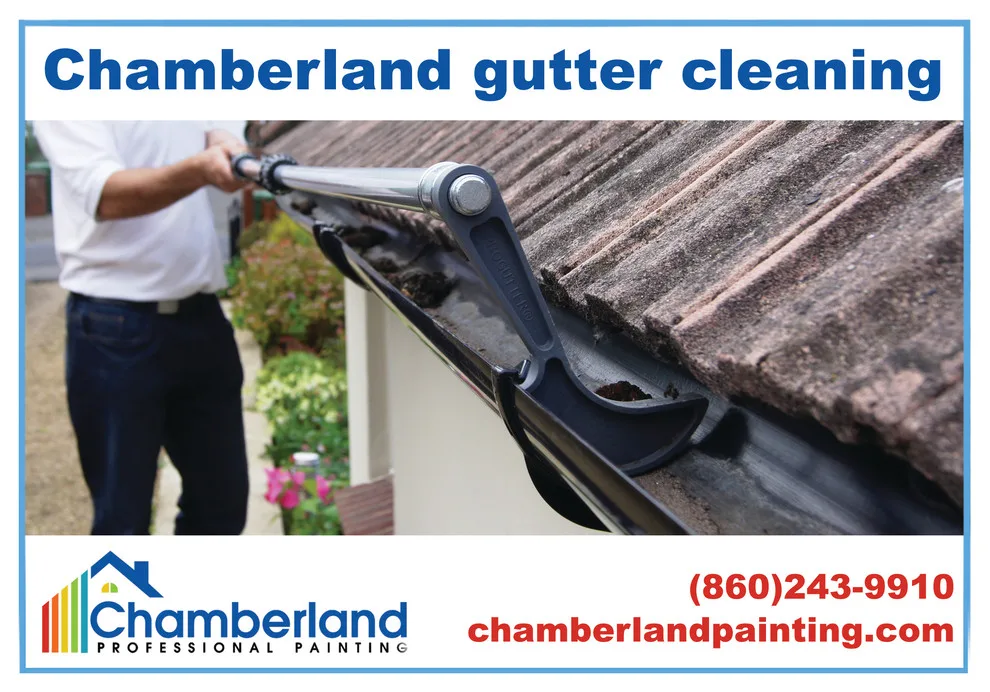Chamberland Professional Painting - Photo 7