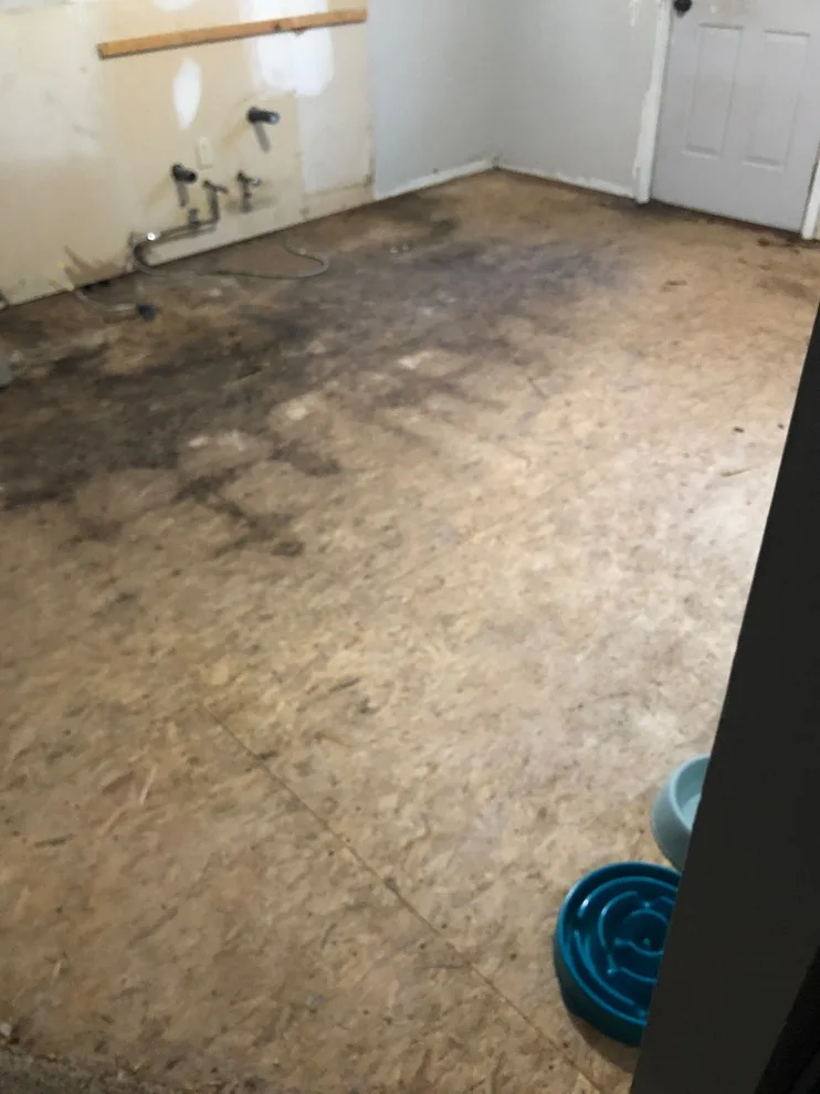 Timber Flooring by Little River Painting LLC - Photo 5