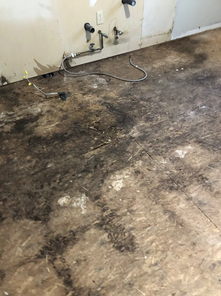 Timber Flooring by Little River Painting LLC - Photo 4