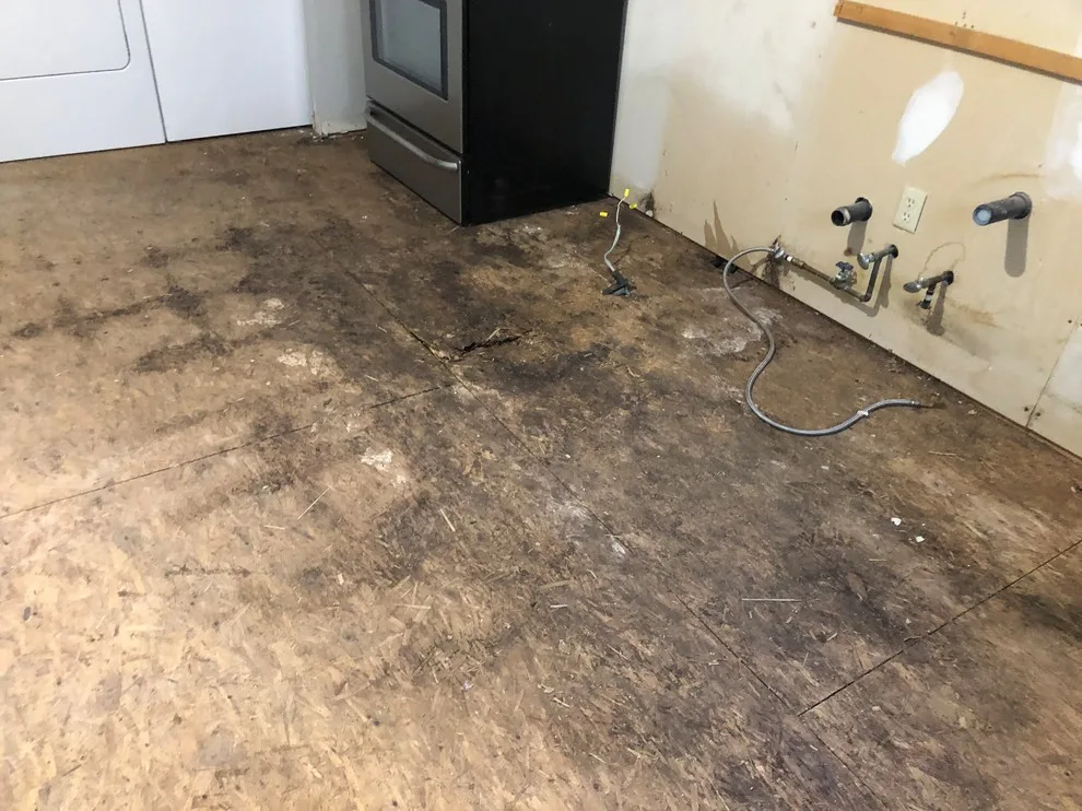 Timber Flooring by Little River Painting LLC - Photo 13