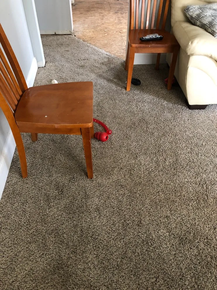 Timber Flooring by Little River Painting LLC - Photo 7