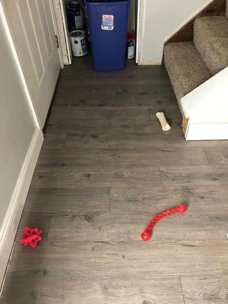 Timber Flooring by Little River Painting LLC - Photo 12