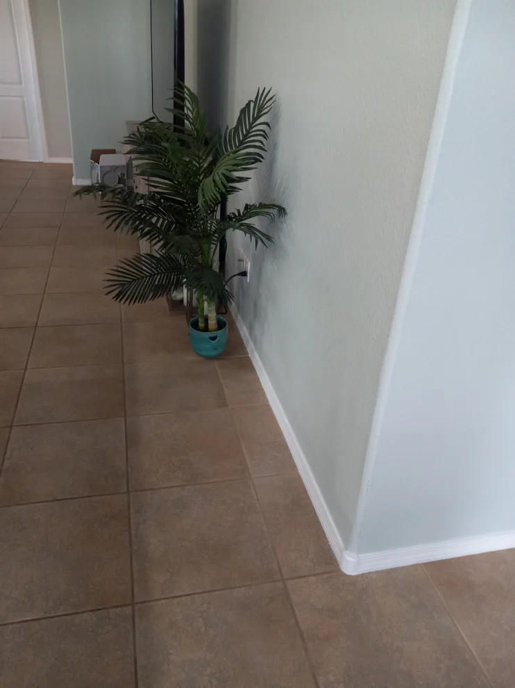 Interior Home Painting in Los Lunas by Mitchell's Painting - Photo 3