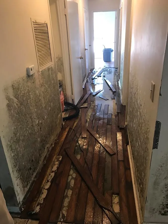 Home Repair - Wallboard and Painting by Quality Painting Solutions - Photo 10
