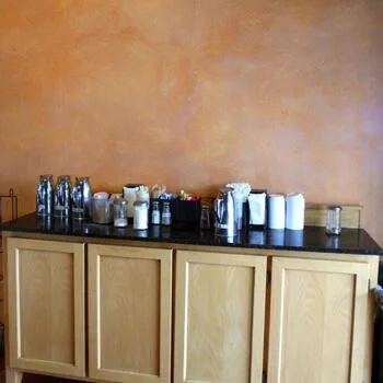 T Paul Sek EcoPainting - Photo 6