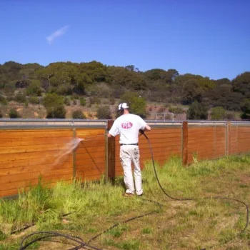 Deck and Fence Staining and Refinishing Services by T Paul Sek EcoPainting - Photo 5