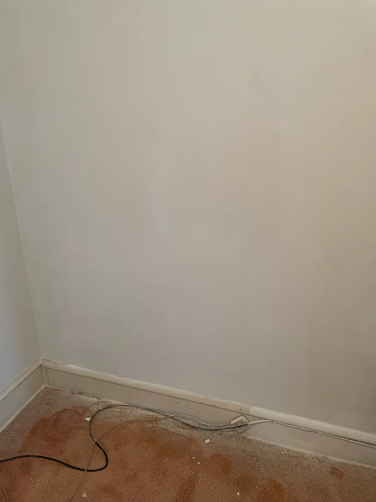 Repair water leak and repaint by BH Painting LLC - Photo 9