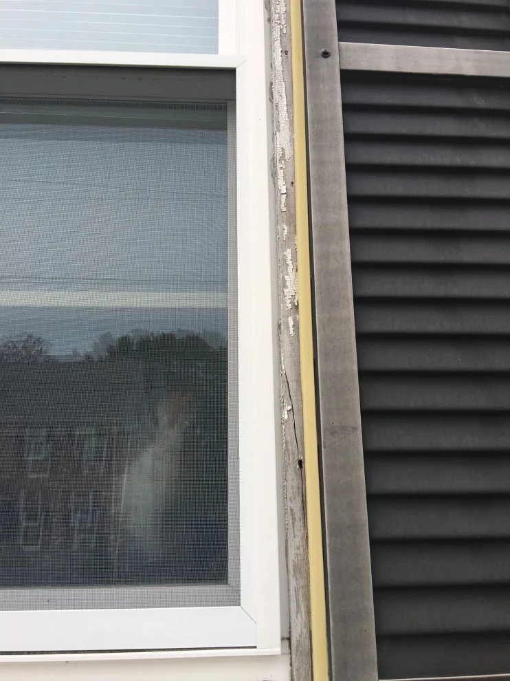 Charcoal House Exterior Coating by Pure Colors Painting And Decor, LLC - Photo 19
