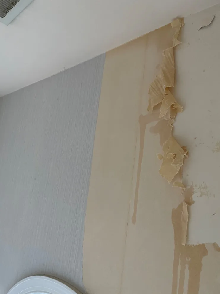 Wallcovering removal and painting by BH Painting LLC - Photo 6